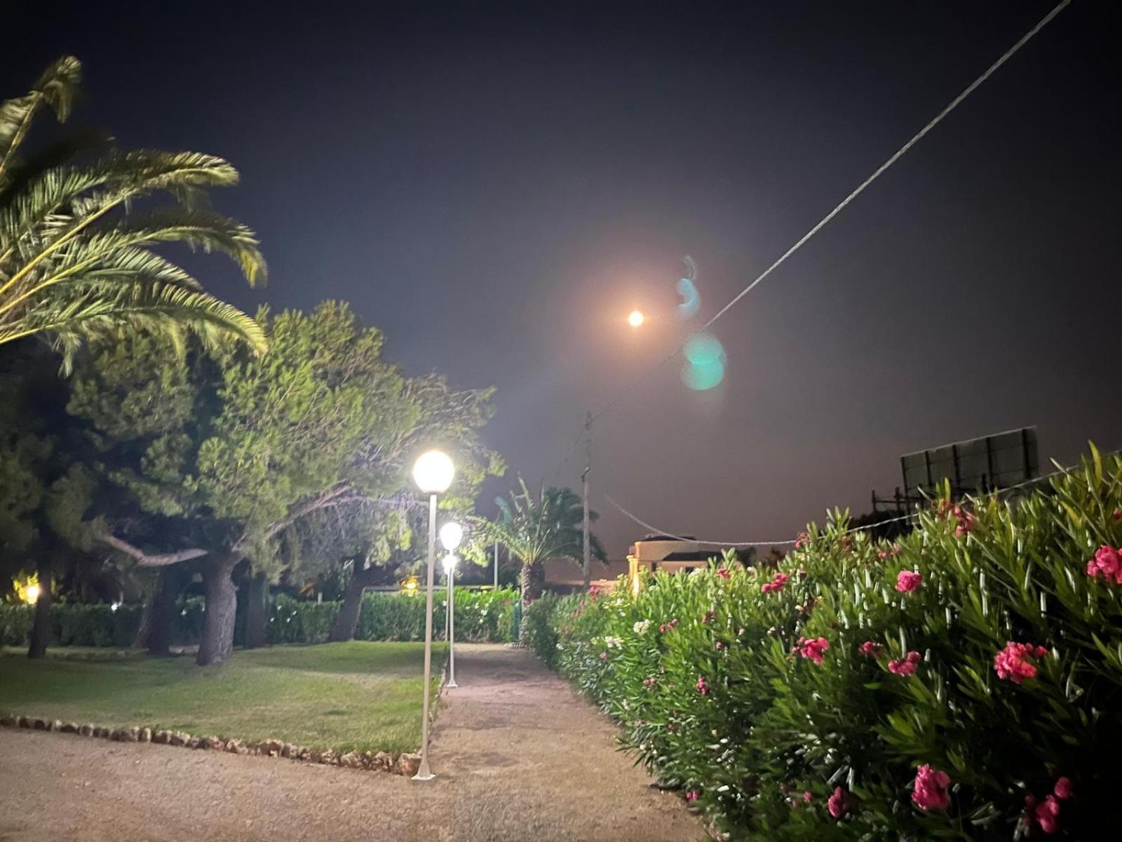 Pis La Rapita Apartment Alcanar Luaran gambar